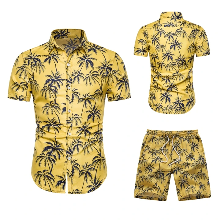 

Two Piece Set Men Hawaiian print Short Sleeve T Shirt Cropped Top+Shorts Men's Tracksuits 2019 New Causal Tops Short Trousers