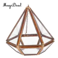 MagiDeal Vertebral стеклянный подвесной геометрический Террариум Настольный суккулентный воздушный горшок