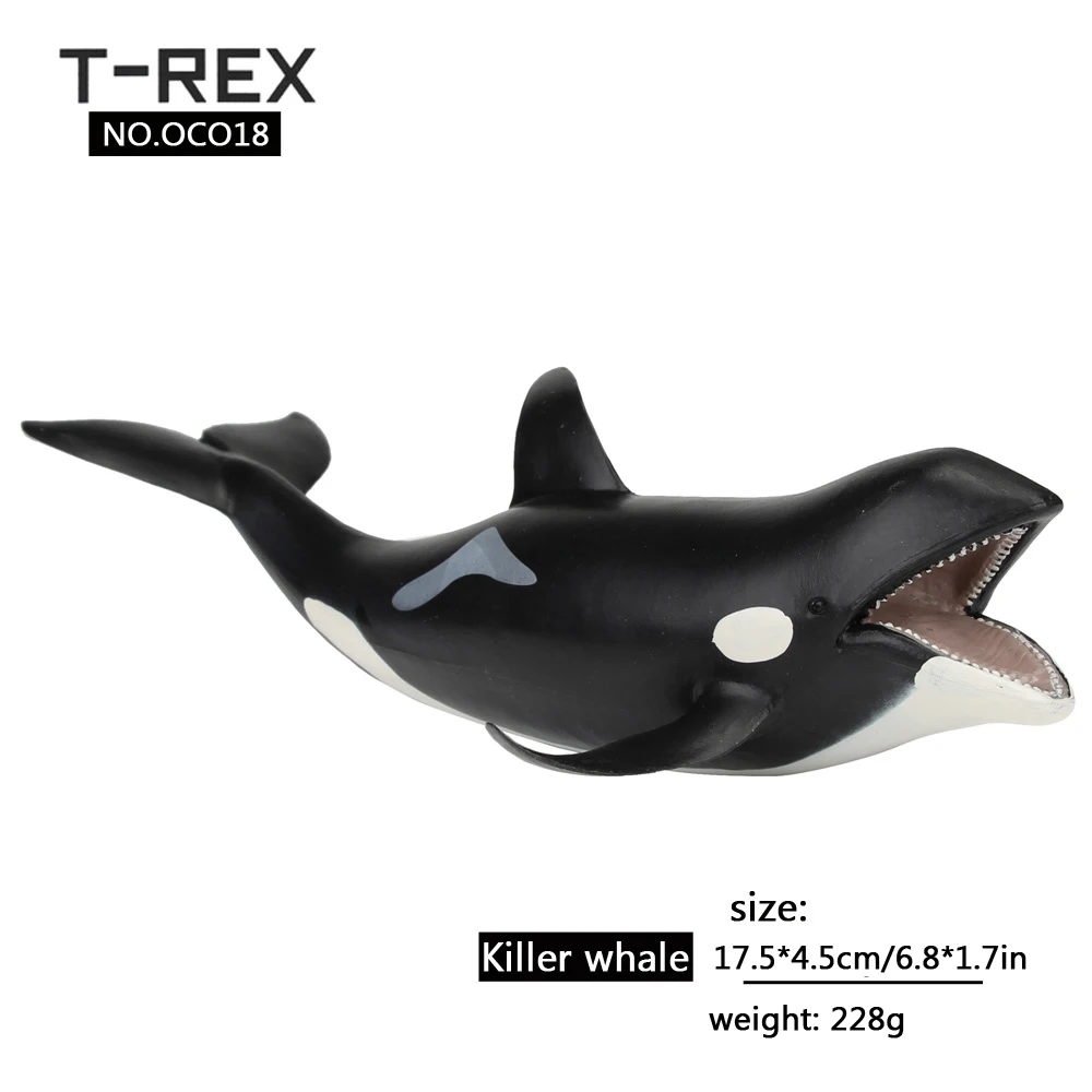killer-whale
