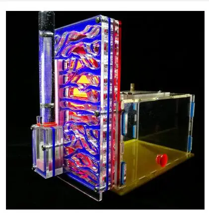 Новинка, Т-образное гнездо муравьев, живой муравей, для просмотра места обитания, игрушечный муравей, гнездо, акриловое, для фермы, B1, для детей, класс биологии, игрушка, Granja De Hormigas Hormiguero - Цвет: blue red cover