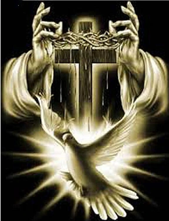 Jesus,christ,cross,pigeon_