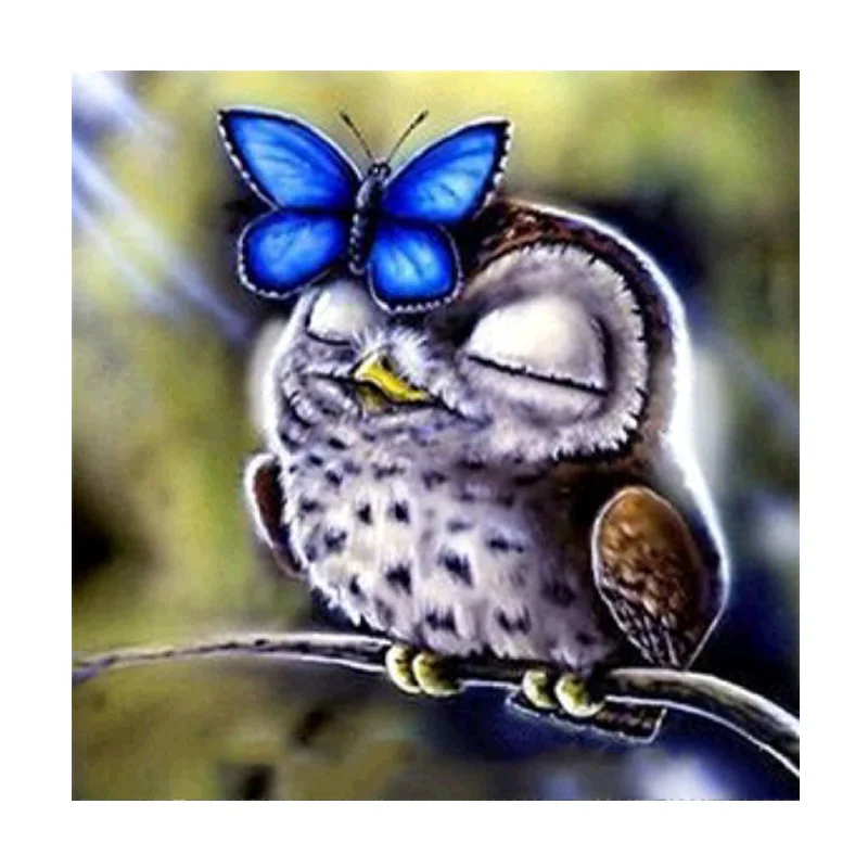 

DIY 5D Diamond Embroidery Painting Owl Butterfly Cross Stitch Craft Home Decor 25*25cm W215