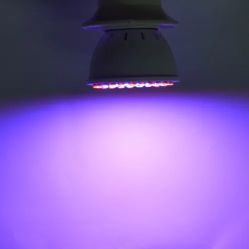 Ampolletas Led E27 15W 41 Red +19 Blue Led Grow Lamps For Flowering Plant and Hydroponics Outdoor Spot Lighting 60Leds Bulb Lamp 9