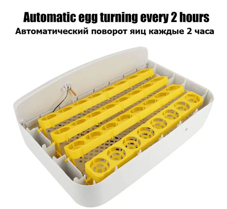 32-eggs-incubator-749