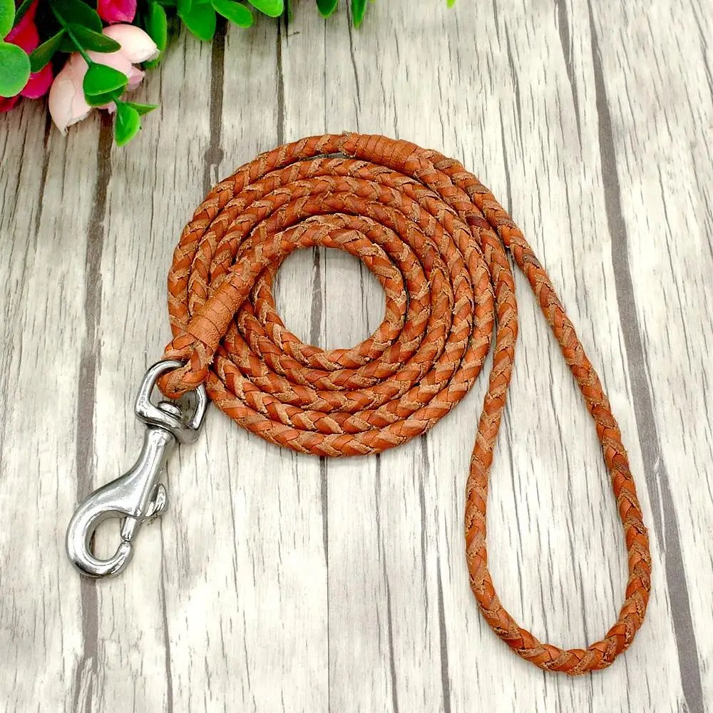 Title 6, Small Dogs Leash Braided Leather Dog Puppy Leas...