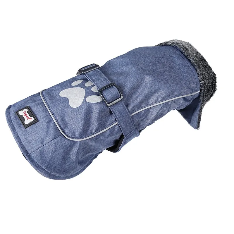 D3