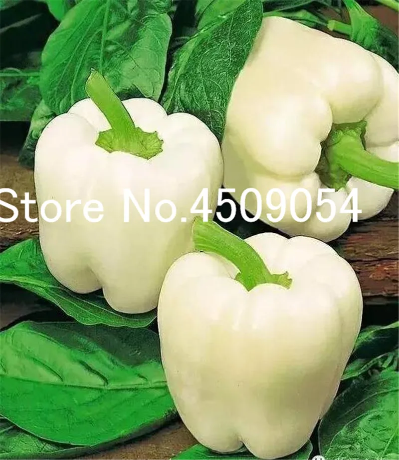 100 pcs Hot Chili Seedsplants Carolina Reaper Organic Bonsai Vegetable Rainbow Bell Ghost Pepper Bonsai Home Garden Easy Grow