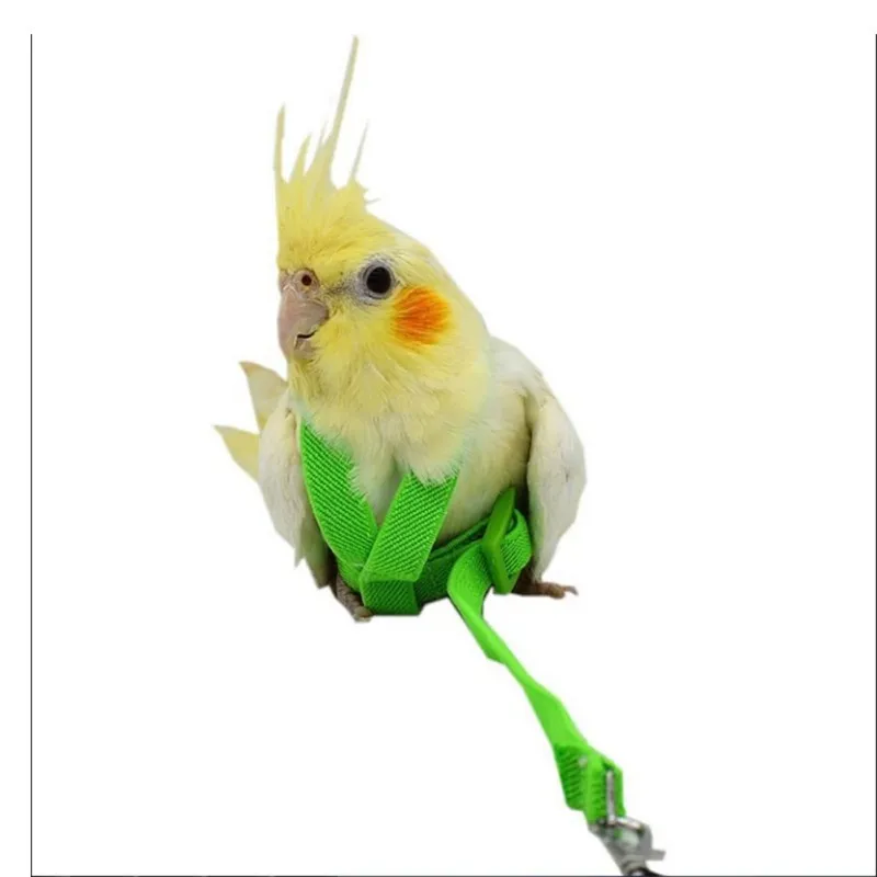 Pet Parrot Traction Strap Pet Anti-bite Training Rope Outdoor Rope Pet Leash Adjustable Bird Harness For Hamster, Lizard