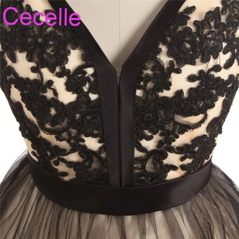 conew_02g[1]