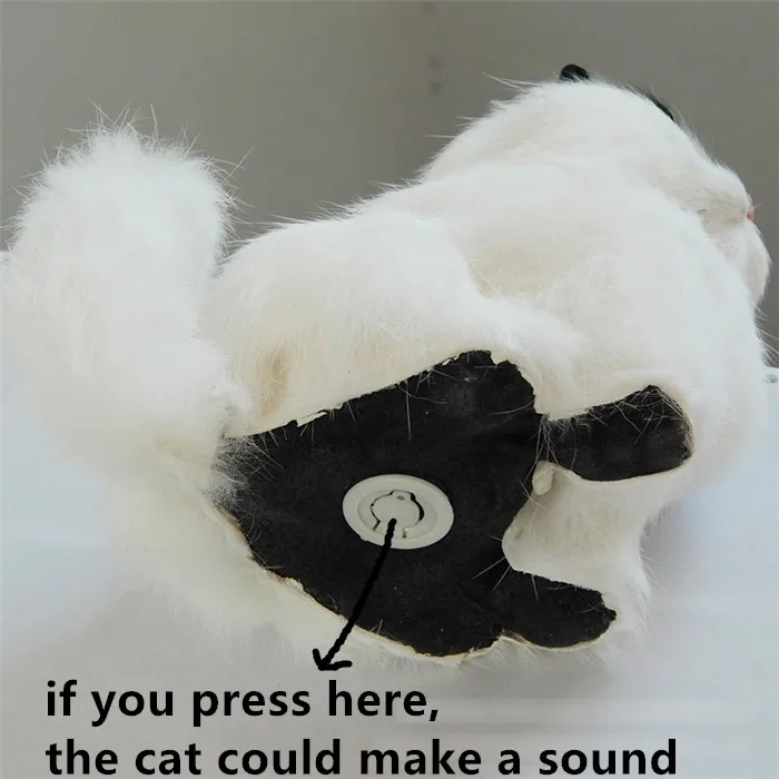 HTB18ufHOXXXXXXdXXXXq6xXFXXXl