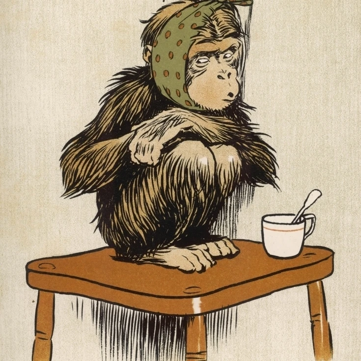 Baby Chimpanzee Aldin Poster Print By Mary Evans Picture Library (18 X 24)