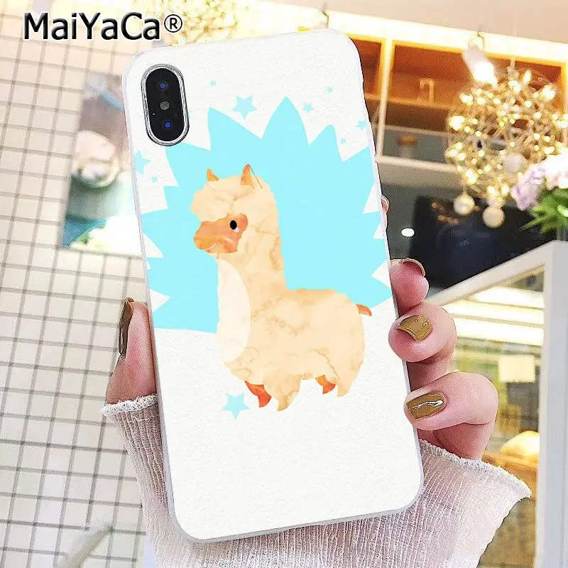 Lama Llama Alpacas Animal