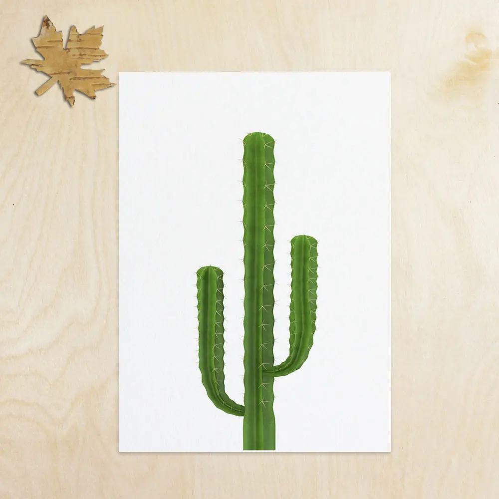 Cactus Inspiration Art Print Wall Art Flower Home Decor Cactus Art