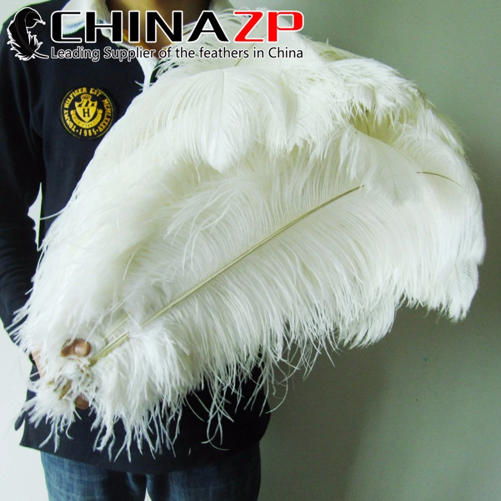 Where to buy ostrich feathers in bulk Clearance
