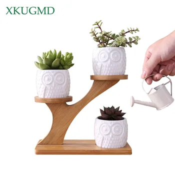 

1 Set White Ceramic Owl Garden Pots Modern Decorative Nursery Succulent Plant Pot 3 Bonsai Planters with 3-Tier Bamboo Shelf