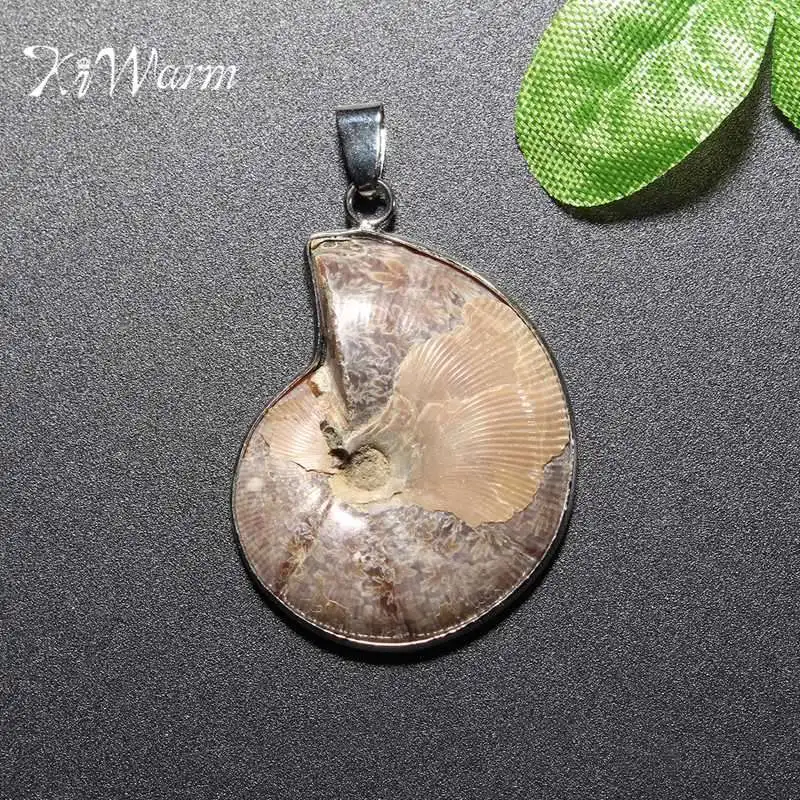 

KiWarm Natural Conch Chrysanthemum Ammonite Snail Madagascar Gem Stone Charms Pendant Necklace DIY Jewelry Crafts Ornaments Gift
