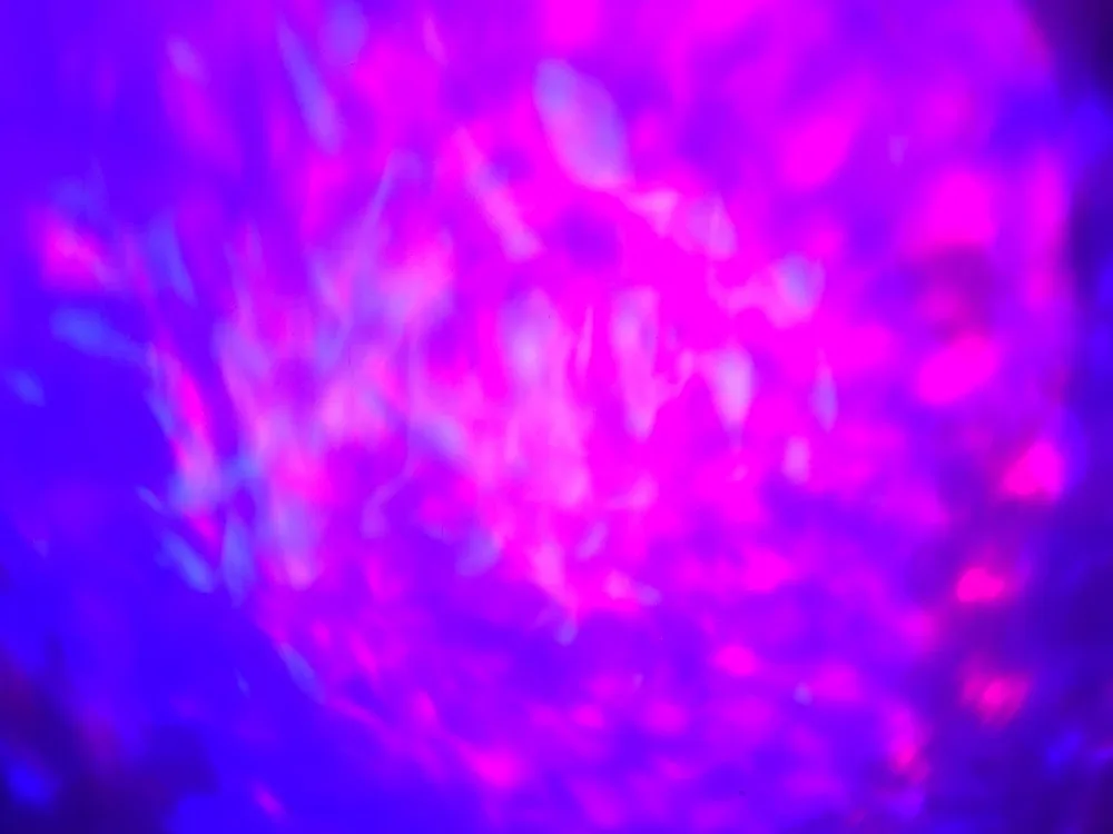 3315714148_163712526
