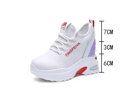 Z1
