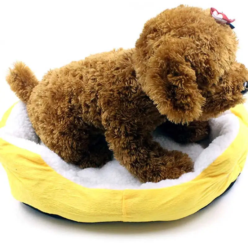 dog bed