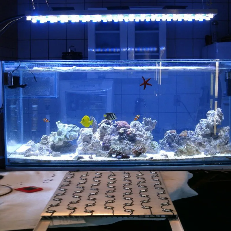 5 шт. 3 Вт холодный белый светодиод 10000 K-20000 K 5 шт. 3 Вт Королевский синий 460nm+ 1 шт. 6-10x3w 600mA светодиодный драйвер diy 30 Вт Светодиодный светильник для аквариума для рыб