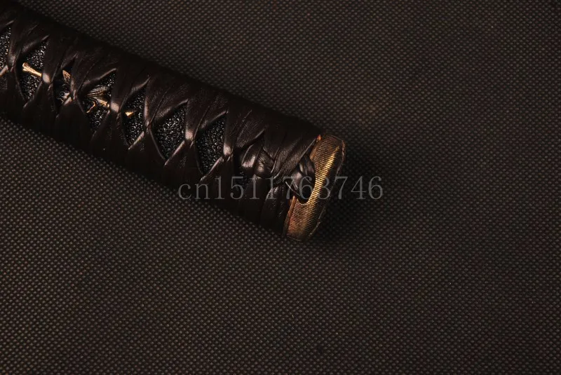 conew_phd2 (4)