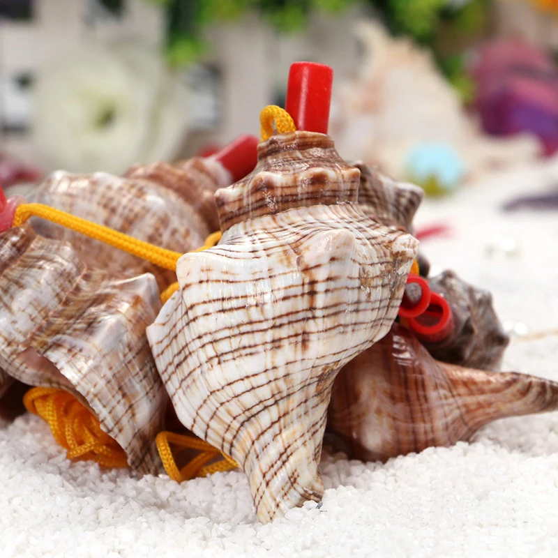 Free Shipping(10pcs/lot)conch Whistle Natural Shell&conch Home