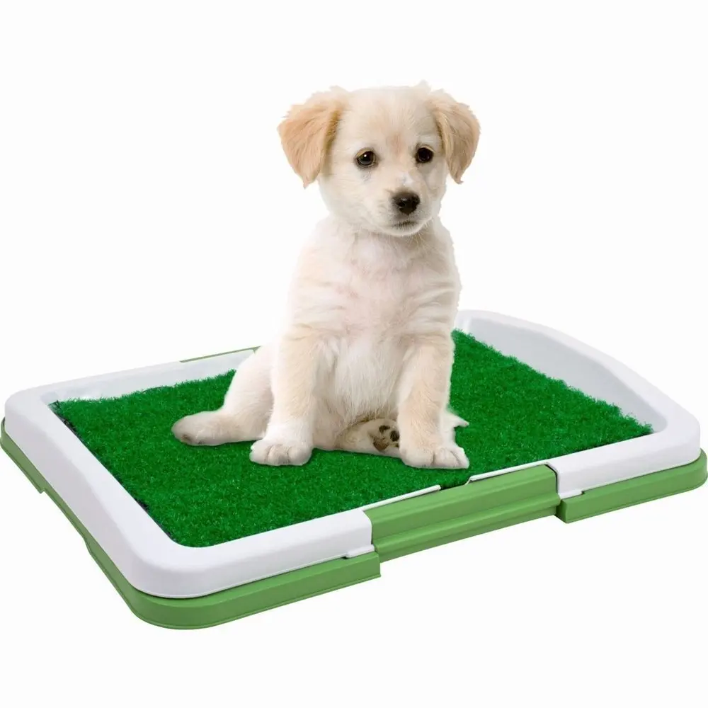 dog toilet  (3)
