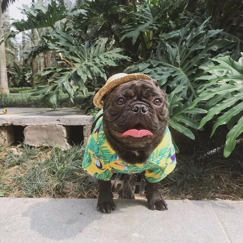 

Hot Spring Clothes for Dogs Summer Pet Dog Clothes Cool Breathable Hawaii Style Cute Shirt for Cat Small Medium Dogs S-L