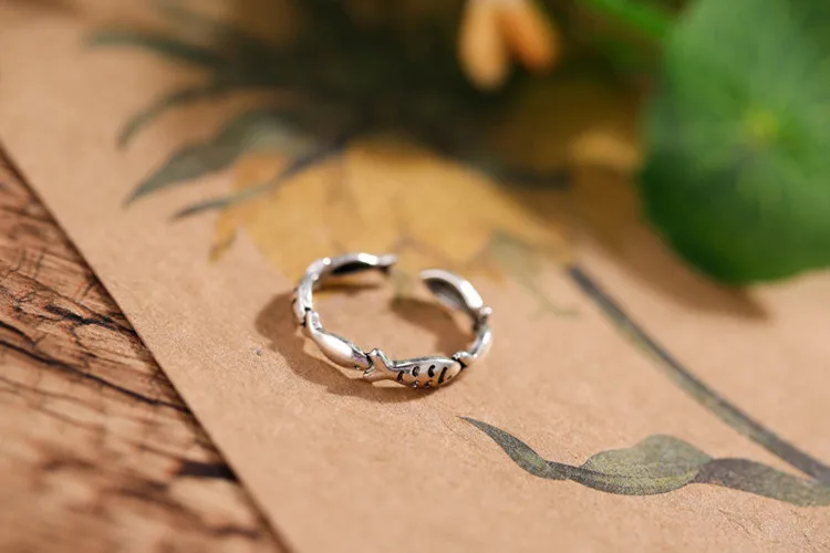 9075614937_823318017[1]_