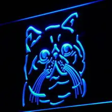 I986 экзотическая короткошерстная кошка порода ПЭТ световой знак магазина Вкл/Выкл Переключатель 20+ цвета 5 размеров