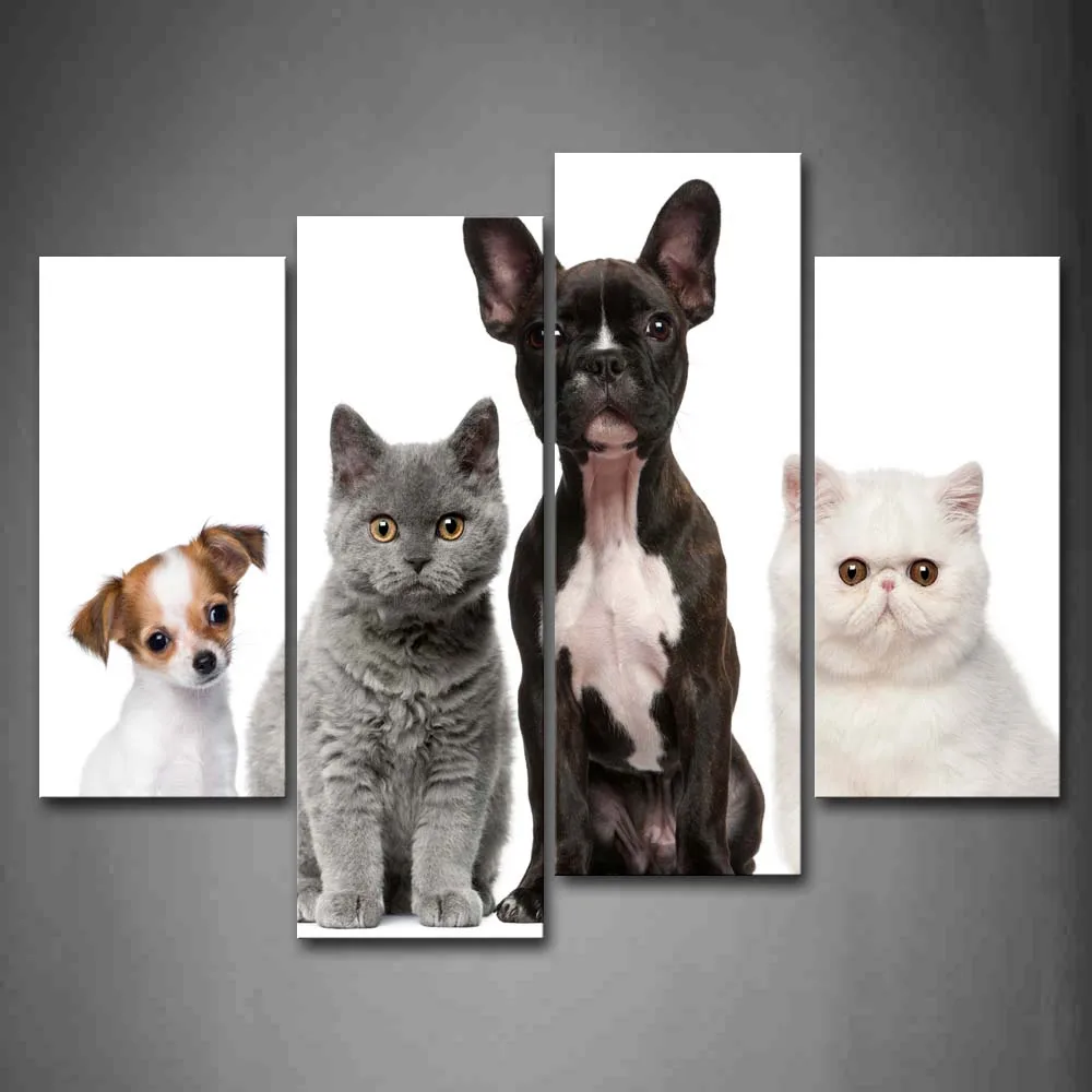 

4 Pics Framed Wall Art Pictures Cute Dogs Cats Canvas Print Animal Modern Posters With Wooden Frames For Living Decor