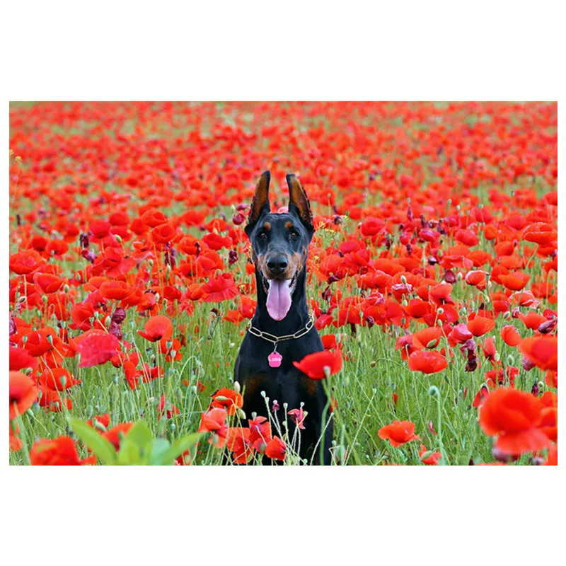 

Cartoon 5D Diy Diamond Painting Cross Stitch Dobermann dog Pets Needlework Diamond Embroidery Full Decorative Christmas