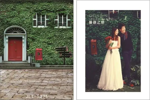 

300cm*300cm Vinyl Custom Photography Backdrops Prop Digital Photo Studio Background  S-5375