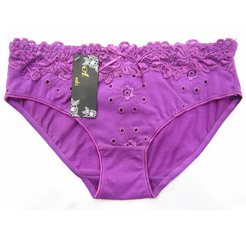 Sexy Embroidery Briefs Women Lace Panties Plus Size Underwear Female
