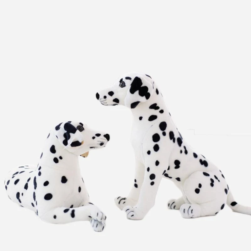 dalmatian teddy