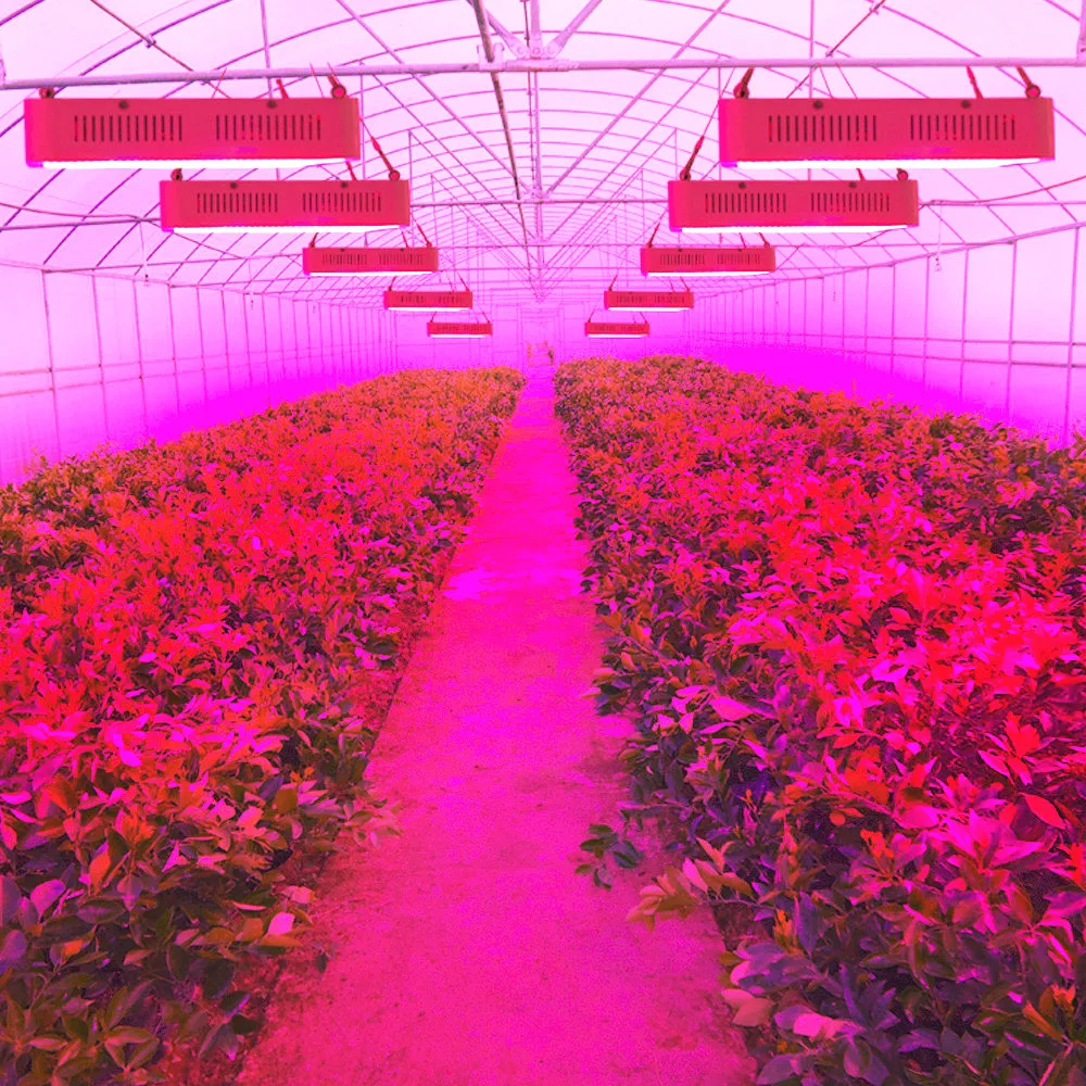 Светодиодный Grow светильник полный спектр 1600 Вт лампа для выращивания комнатные