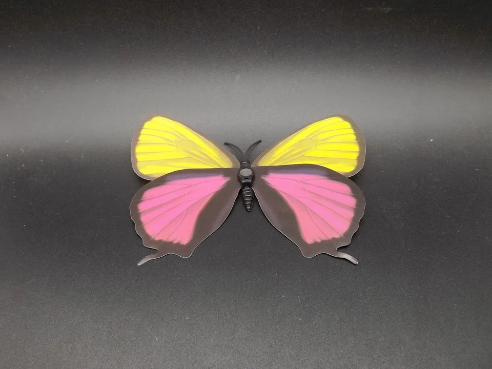 I236-Butterfly (8)