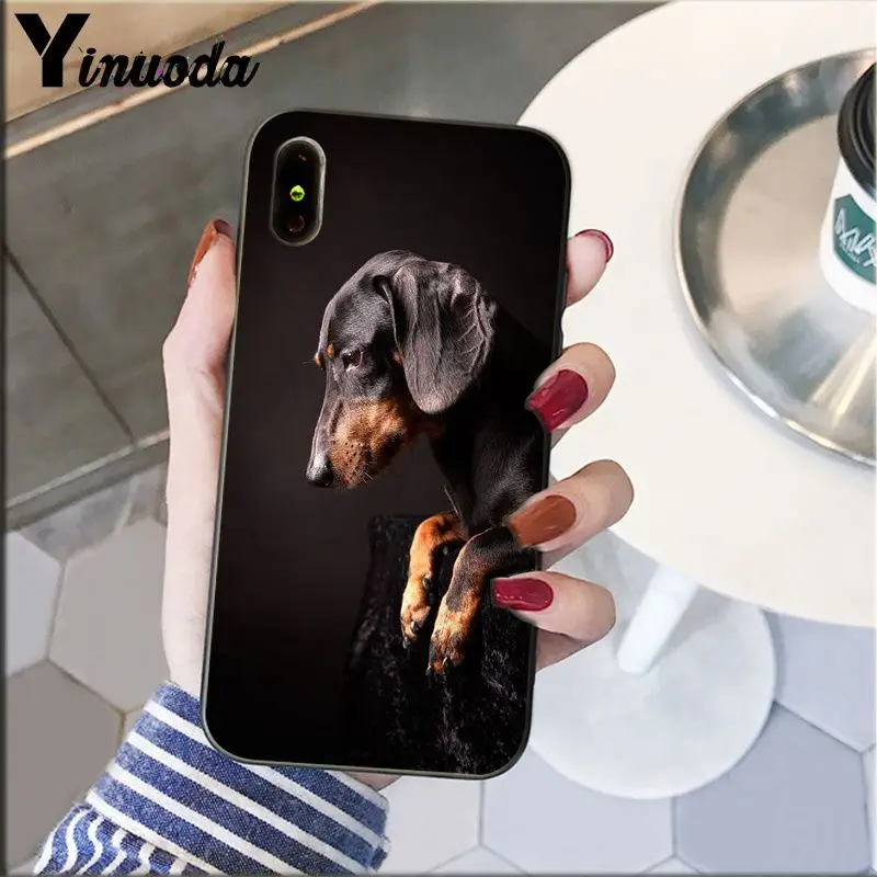 Dachshund Doberman Dog Silhouette