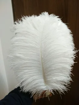 

Wholesale 50 pc high quality white ostrich feather 12-14inches / 30-35CM diy decorative vases / Accessories / Apparel