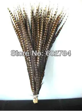 

Free Shipping 20pcsslot 90-100cm natural Carnival Feathers Decor Side pheasant feather tail Lady Amherst Pheasant tail Feather
