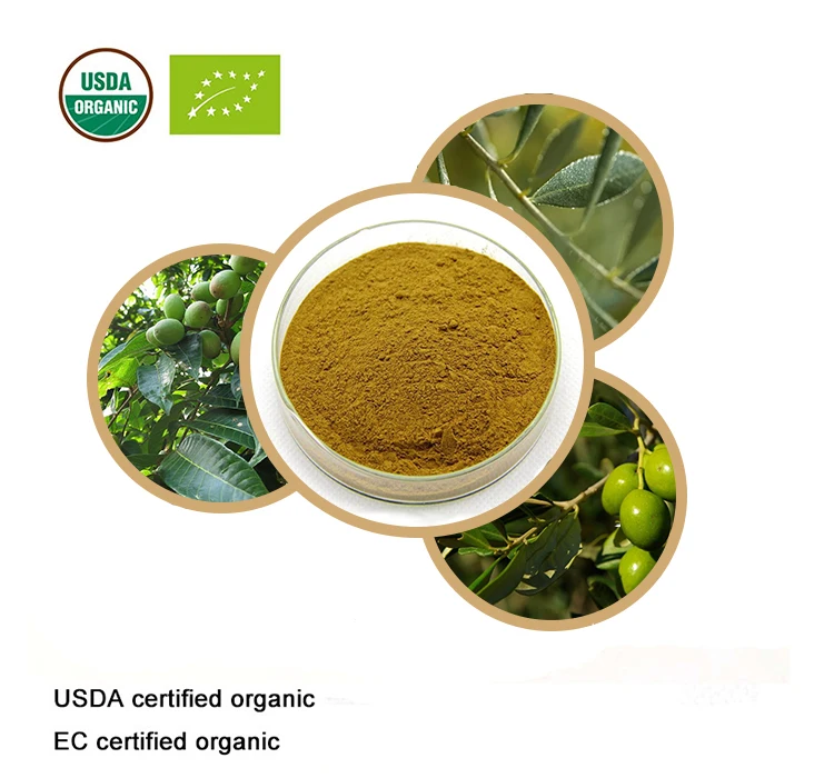 USDA и EC сертифицированный органический экстракт листьев оливы 20:1