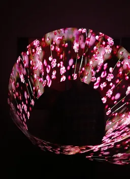 

LED POI,2 sticks.2*100 DOT LED STICK,LED PIXEL POI