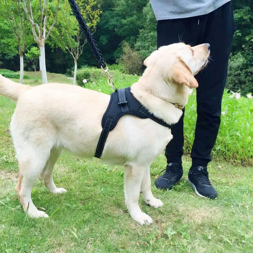 h2+Xif2nxdR3mZ48XMtlQFA3TU+WJW1b1sgN