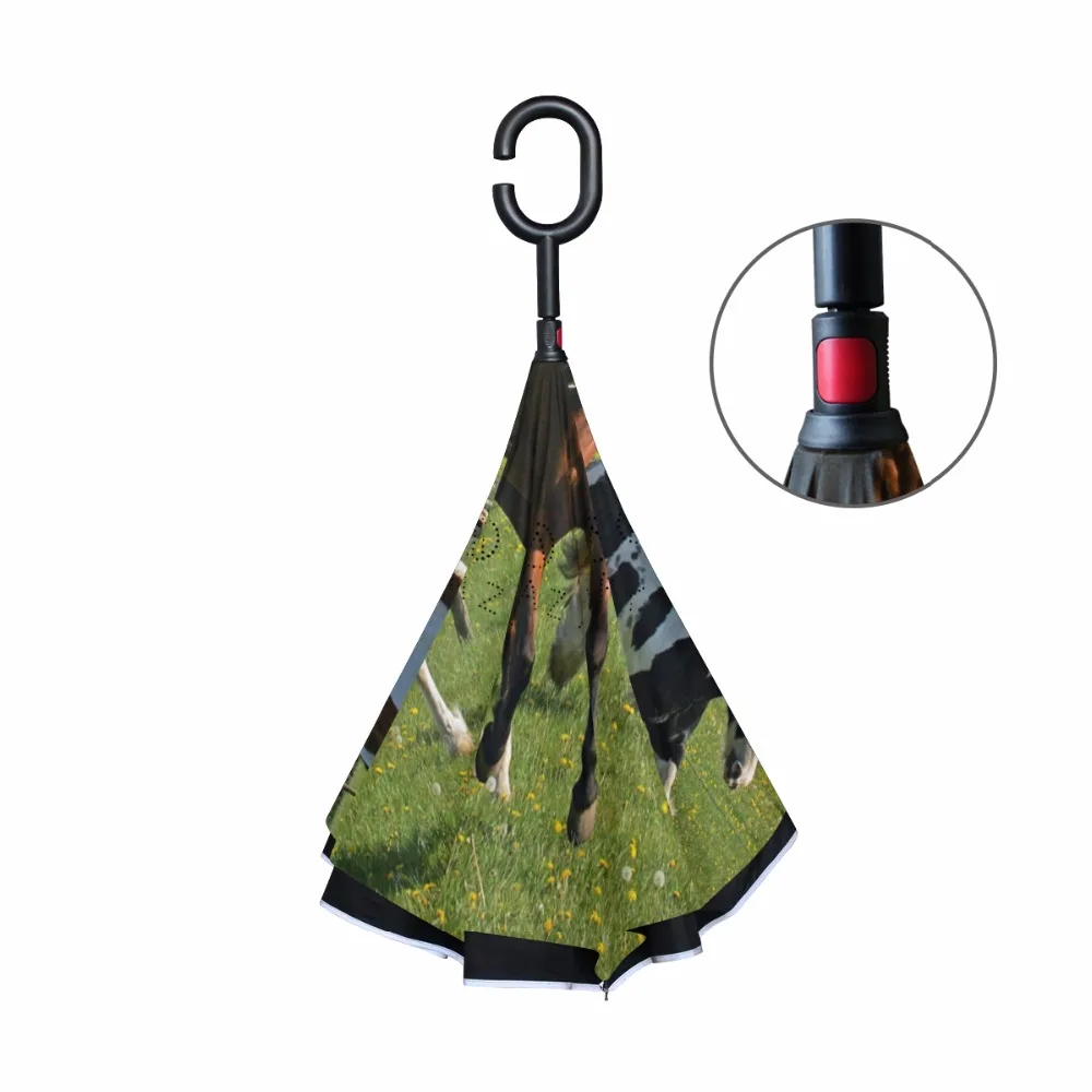 g4078868p183c217s313_2