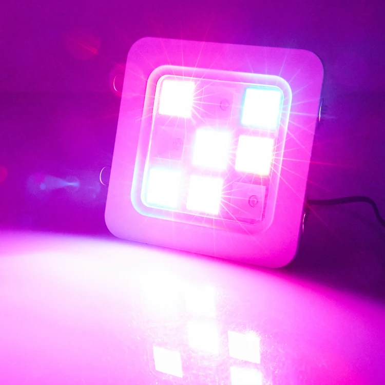 9cd