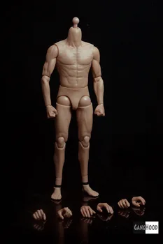 

Collection Toy 1/6 Scale Asian Male Body Figure for Muscular Model Similar to HT DX04 With Extra Hands for 12inch action figure