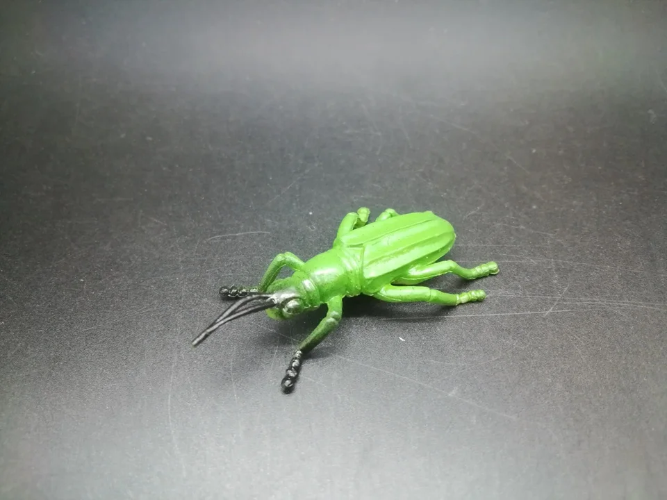 I796 (6)
