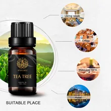 100% Natural Tea Tree Essential Oil Anti-wrinkle Extract Acne Removal Scars Marks Treatment Essential Oil For Any Skin Care 1kg 100% natural green tea extract 60%