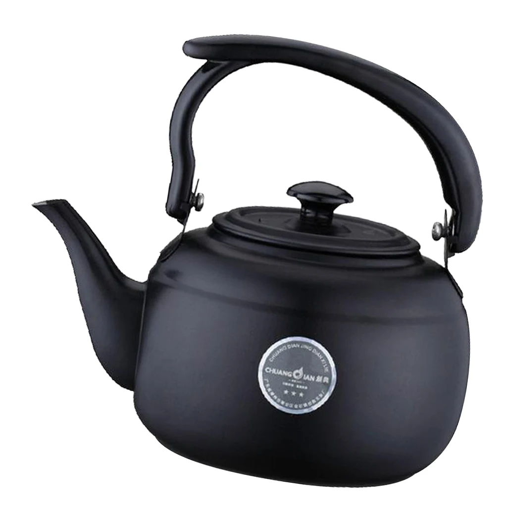 1L Stainless Steel Teapot TeaKettle Stovetop Fast Boiling for Tea Coffee