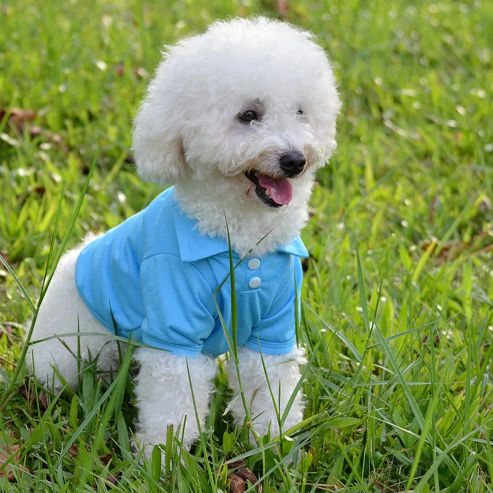 FG87 New Pet Dog Polo Shirt clothes Solid color Cheap small dog Polo